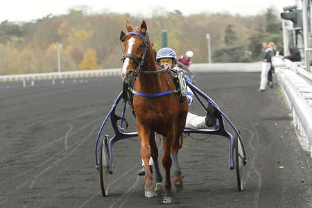 Actualités Hippiques